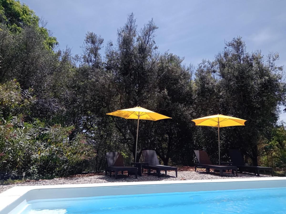 2 Pieces "Le Brin De Soleil" Gites Appart 'Hotel L'Echappee Belle D'Aubenas Logement 1 Sur 3 Экстерьер фото